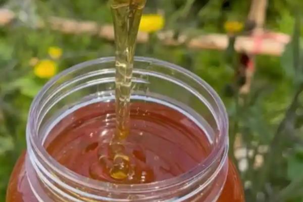 枣花蜜好还是洋槐蜜好，二者各具优点