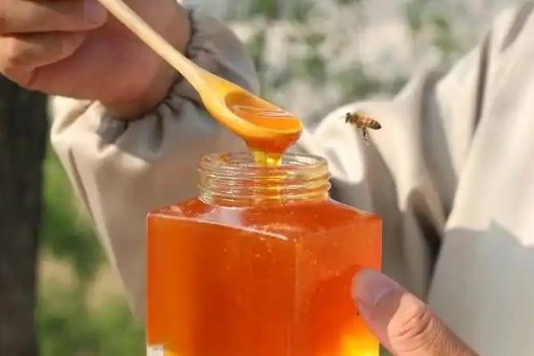 枣花蜜好还是洋槐蜜好，二者各具优点