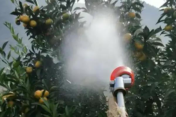 砂糖橘的控梢保果方法，主要有以下5种方式