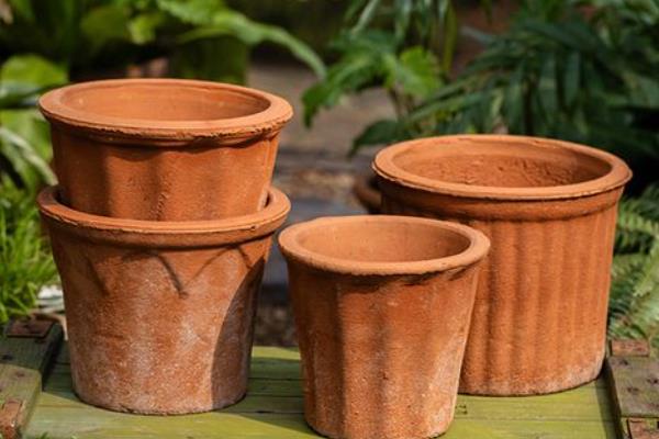 盆景的制作方法，在春秋两季进行