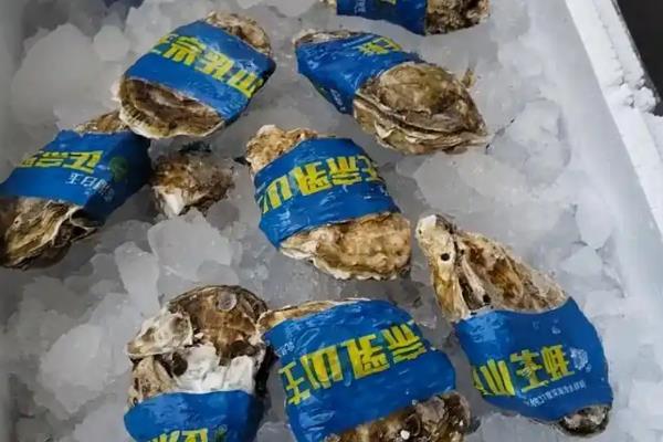 生蚝怎么保鲜,可以清水保存或海水保存等