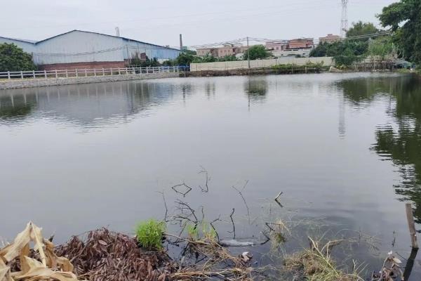 塘鲺如何养殖，水质的酸碱度在6.8-7.5之间