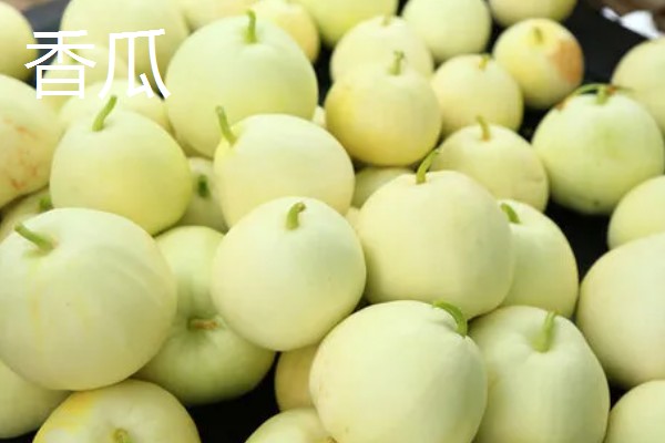 甜瓜和香瓜有什么区别，外皮厚度、果实颜色等方面不同