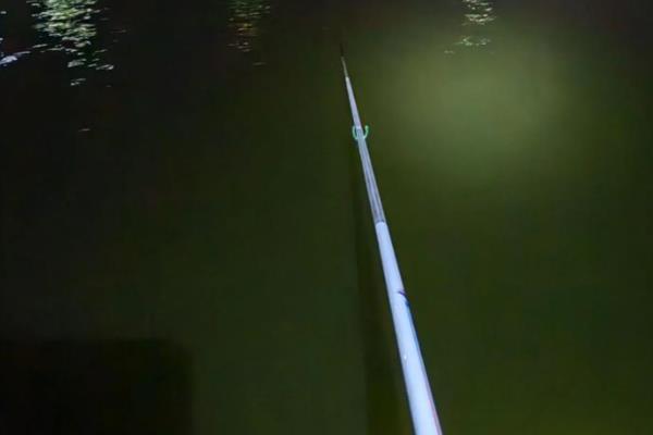 夜钓鲤鱼是不是钓近，钓远是经常采用的一种方式