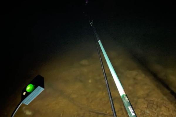 夜钓鲤鱼是不是钓近，钓远是经常采用的一种方式