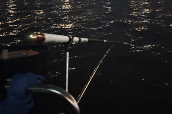 夜钓鲤鱼是不是钓近，钓远是经常采用的一种方式