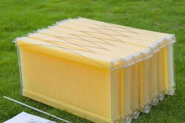 巢础的选购方式,房眼必须按照工蜂房的大小来制成
