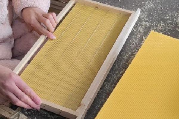 巢础的选购方式,房眼必须按照工蜂房的大小来制成