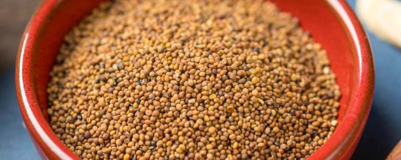 菟丝子的市场价格，30元至40元左右一斤