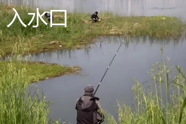 手竿钓翘嘴鱼的最佳水深，1到3米间