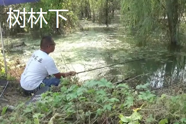 手竿钓翘嘴鱼的最佳水深，1到3米间