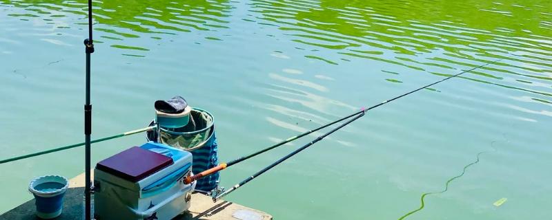 台钓竿推荐品牌，达瓦、光威、迪佳等品牌值得选择