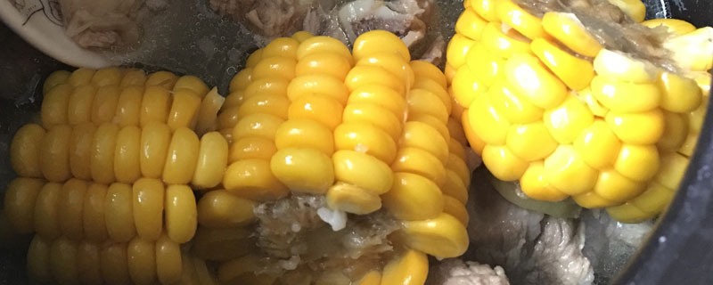 臻棒111玉米种子特征特性，适宜播期为6月5日～20日