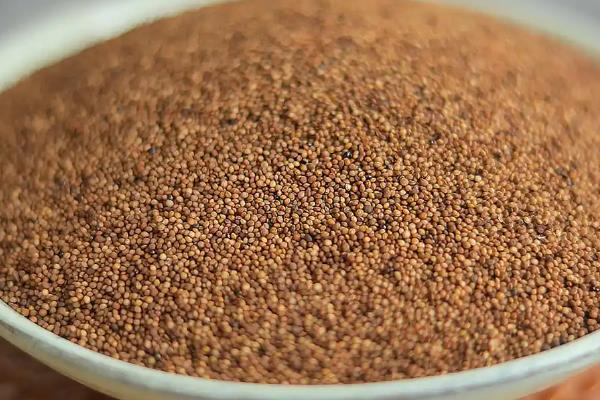 菟丝子的市场价格，30元至40元左右一斤