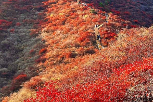 香山叶子红的时间，在9月份开始变红