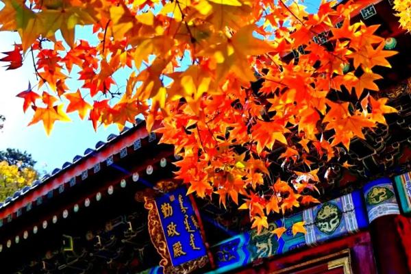 香山叶子红的时间，在9月份开始变红