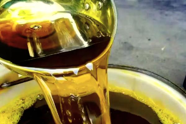 油菜和上海青有什么区别，外观、作用、种植时间都不同