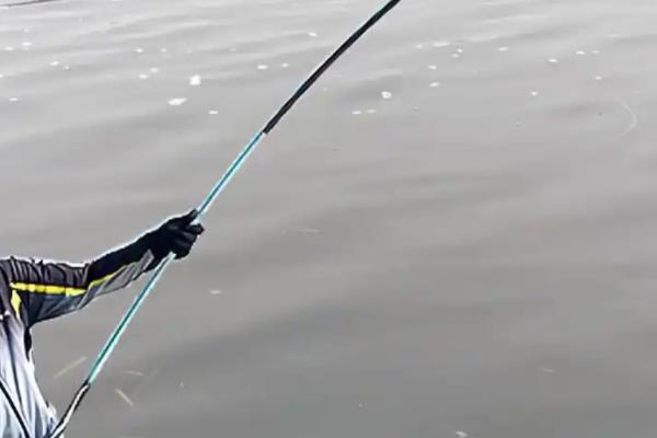 台钓竿推荐品牌，达瓦、光威、迪佳等品牌值得选择