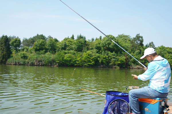 台钓竿推荐品牌，达瓦、光威、迪佳等品牌值得选择