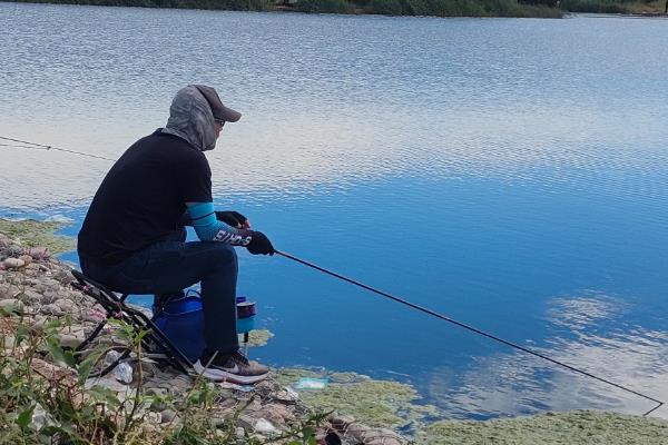 台钓竿推荐品牌，达瓦、光威、迪佳等品牌值得选择