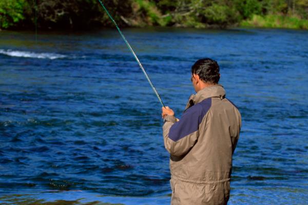 台钓竿推荐品牌，达瓦、光威、迪佳等品牌值得选择
