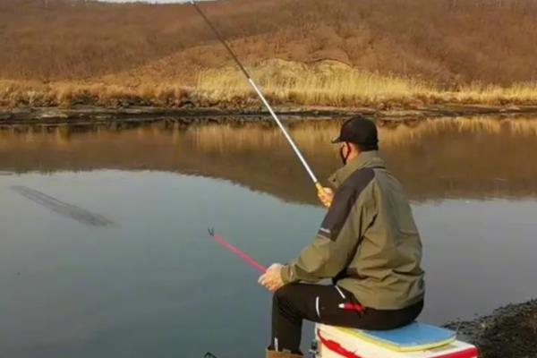 台钓竿推荐品牌，达瓦、光威、迪佳等品牌值得选择