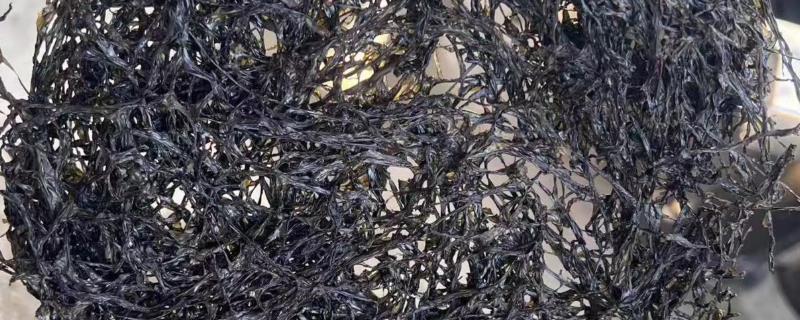 三水紫菜有营养吗，也有营养