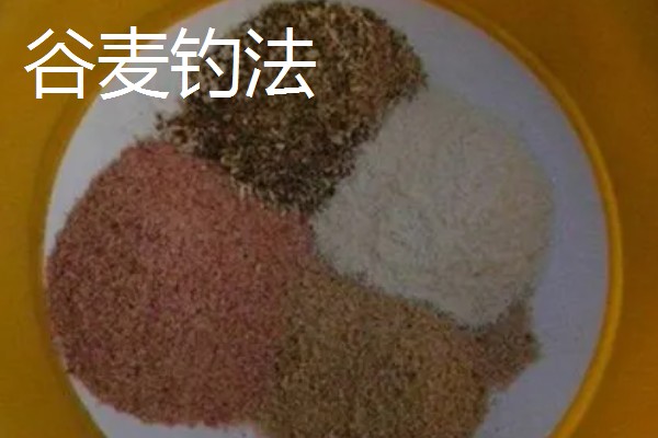 前打竿的竿型特点,最大的特点是有渔轮和导线环