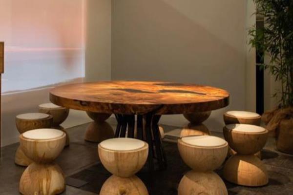 水杉有什么特点，树叶对生向下生长