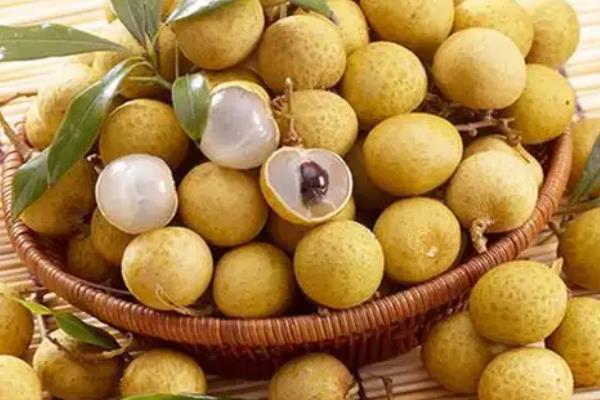 我国有什么好吃的龙眼，蕉城晚熟龙眼、长乐青山龙眼等品种口感好
