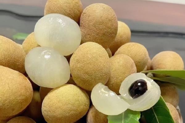 我国有什么好吃的龙眼，蕉城晚熟龙眼、长乐青山龙眼等品种口感好