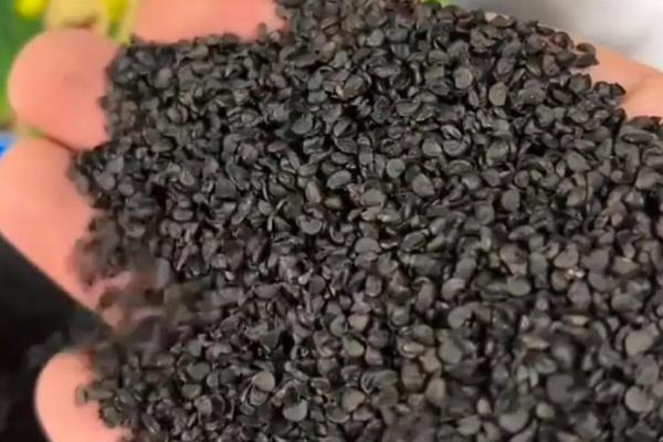 小葱刚栽上能浇水吗，刚栽上可以浇水