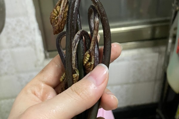 蕨菜的挑选方法，选择少毛的蕨菜