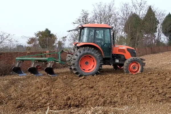 甜菜不出苗的原因，可能是化肥施用量连年增多所致