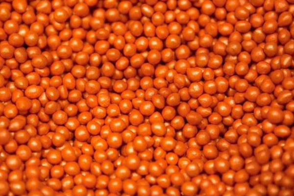 甜菜不出苗的原因，可能是化肥施用量连年增多所致