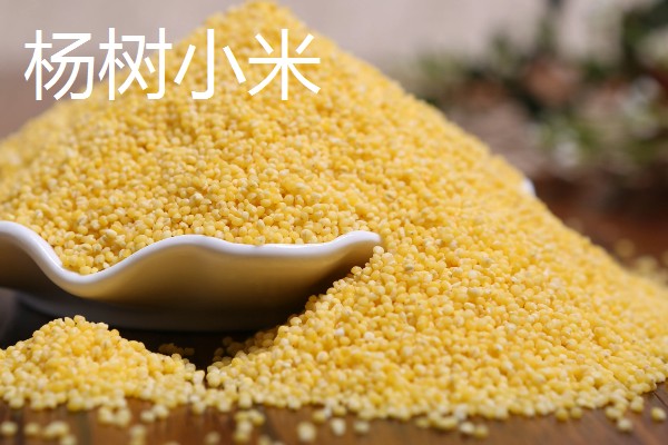 哈尔滨的特色美食，有锅包肉、哈尔滨红肠等