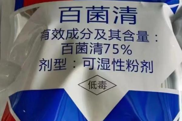 文殊兰叶斑病如何防治，要及时的将患病的叶片修剪摘除