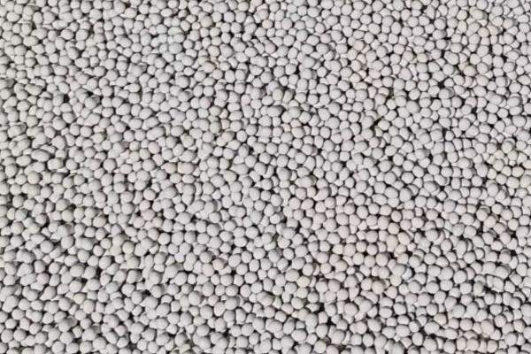 秋胡萝卜的最晚种植时间，可选择7月中旬至8月下旬