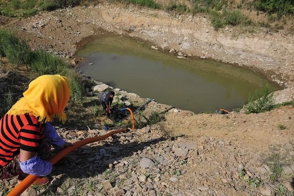 虾池里面有很多虫子怎么办，清理淤泥可减少虫子的食物来源