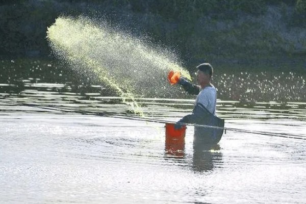 虾池里面有很多虫子怎么办，清理淤泥可减少虫子的食物来源