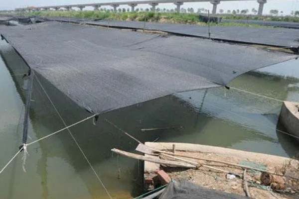 虾池里面有很多虫子怎么办，清理淤泥可减少虫子的食物来源