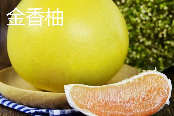 柚子有什么品种，金香柚、坪山柚、桑麻柚等品种很常见
