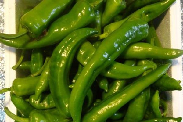 全国优质辣椒品种,有中椒4号、中椒7号等