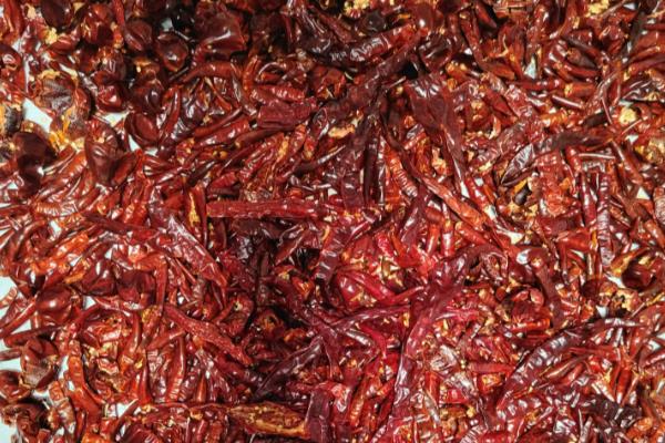 全国优质辣椒品种,有中椒4号、中椒7号等