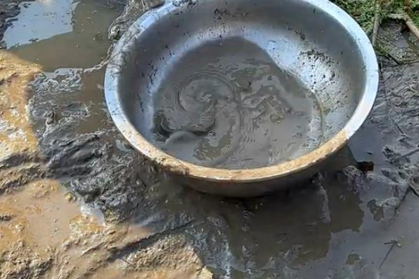 如何怎样自制荷花淤泥，可以直接去池塘中挖取底部的泥土