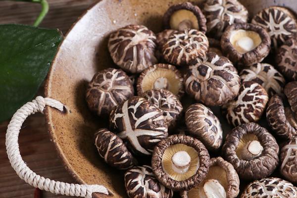 有哪些菌类食物，有香菇、蘑菇、草菇等