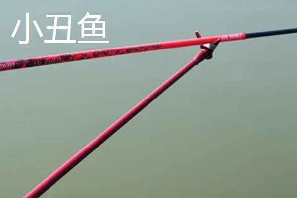 国内最细最轻的鲫鱼竿，等有名伦的武玄风、钓鱼王的疯影