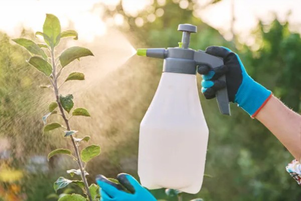 牛奶能杀虫吗,牛奶是可以杀虫的