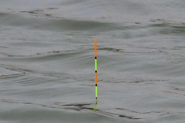 漂相为什么不明显，钓得过钝、线组过大、小鱼闹窝都是常见原因