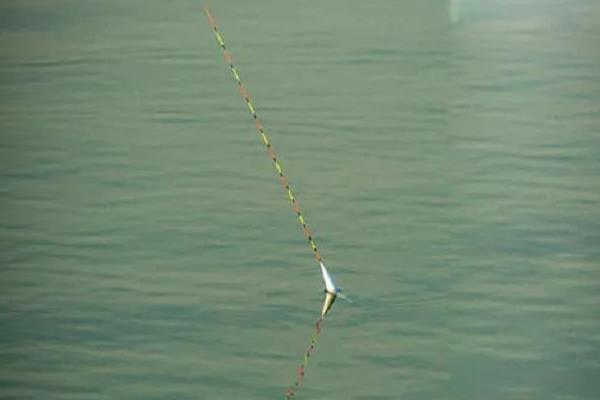 漂相为什么不明显，钓得过钝、线组过大、小鱼闹窝都是常见原因